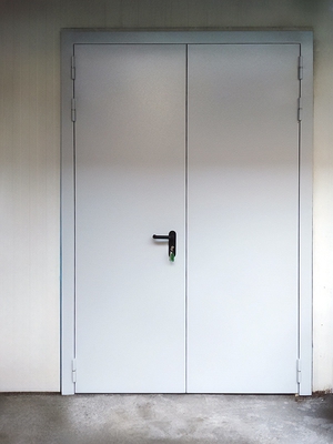 Дверь с двумя створками